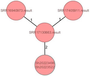 Whole genome analysis of the two clinical isolates of Shigella sonnei. Comparison with three reference genomes: SRR16940973, SRR17405911 andSRR1713130663, and genomic analysis of antimicrobial resistance genotype. Genotyping was performed by high-throughput whole-genome sequencing with pair-end reads using the commercial kit NexteraTM DNA Flex Library Preparation Kit and the NextSeq sequencing system (Illumina Inc, San Diego, CA, USA). The DNA was extracted with the Maxwell RSC automated platform (Promega, Madison, Wisconsin, USA). The obtained sequences were assembled with the software tools SPAdesversion 3.15.4 and PROKKA version 1.12. Clustering was carried out with the software Ridom SeqSphere + version 6.0.2 using the scheme defined for Escherichia coli (2528 loci) and establishing a threshold of 10 alleles for the detection of clusters.
