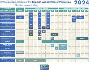 Immunization schedule of the Spanish Association of Pediatrics: 2024 recommendations. Routine immunization. (1) Hepatitis B vaccine (HB).- Three doses of hexavalent vaccine at 2, 4 and 11 months. Unvaccinated children and adolescents should be given 3 doses of monovalent vaccine on a 0, 1 and 6-month schedule. (2) Diphtheria, tetanus and acellular pertussis vaccine (DTaP/Tdap).- Five doses: primary vaccination with 2 doses, at 2 and 4 months, and booster at 11 months (third dose) with DTaP-IPV-Hib-HB (hexavalent) vaccine; at 6 years (fourth dose) with the standard load vaccine (DTaP-IPV), preferable to the low diphtheria and pertussis antigen load vaccine (Tdap-IPV), and at 12–14 years (fifth dose) with Tdap. In children previously vaccinated with the 3 + 1 schedule (at 2, 4, 6 and 18 months), it is possible to use the Tdap for the booster at age 6 years, as they do not need additional doses of IPV. Administration of Tdap is recommended in each pregnancy between weeks 27 and 36 of gestation, preferably weeks 27−28. In the case of probable preterm labour, it can be administered from week 20, after performance of the high-resolution foetal ultrasound scan. (3) Inactivated poliovirus vaccine (IPV).- Four doses: primary vaccination with 2 doses, at 2 and 4 months, and booster doses at 11 months (with hexavalent vaccine) and 6 years (with DTaP-IPV or Tdap-IPV). Children previously vaccinated with the 3 + 1 schedule (at 2, 4, 6 and 18 months), require no additional doses of IPV. Children from countries that use the oral poliovirus vaccine (OPV) who have been vaccinated with 2 or 3 doses of the bivalent OPV vaccine exclusively (it was in April 2016 that the global switch from the bivalent OPV to the trivalent IPV started, as recommended by the WHO) should be given at least 2 doses of IPV at least 6 months apart to guarantee protection against poliovirus type 2. (4) Haemophilus influenzae type b conjugate vaccine (Hib).- Three doses: primary vaccination at 2 and 4 months and booster dose at 11 months with hexavalent vaccine. (5) Pneumococcal conjugate vaccine (PCV).- Three or four doses: 2 + 1 series with PCV15 (at 2, 4 and 11 months) or 3 + 1 series with PCV20 (at 2, 4, 6 and 11 months), when available. (6) Rotavirus vaccine (RV).- Two or three doses of rotavirus vaccine: at 2 and 3–4 months with the monovalent vaccine or at 2, 3 and 4 months or 2, 3–4 and 5–6 months with the pentavalent vaccine. To minimise the already low risk of intussusception, vaccination must start between 6 and 12 weeks of life and be completed by 24 weeks for the monovalent vaccine and 33 weeks for the pentavalent vaccine. Doses must be given at least 4 weeks apart. Both vaccines may be given at the same time as any other vaccine (with the exception of the oral poliovirus vaccine, which is not currently distributed in Spain). (7) Meningococcal B vaccine (MenB).- 4CMenB. Three doses: start at age 2 months, with a series of 2 doses 2 months apart and a booster starting from age 12 months and at least 6 months after the last dose in the primary series. Administration of the 4CMenB at the same time as other vaccines in the schedule is recommended. However, if either the clinician or the family prefer not to administer it at the same time, it can be given after any interval of time, although this has the drawback of delaying the protection provided by the vaccine. For all other age groups, the indication of vaccination with either vaccine (4CMenB or MenB-fHbp) is determined on a case-by-case basis, always adhering to the minimum age authorised for each vaccine. (8) Meningococcal ACWY conjugate vaccine (MenACWY).- One dose of conjugate MenACWY-TT at age 4 months and a booster dose at age 12 months. In adolescence (11–13 years), administration of 1 dose of MenACWY is recommended, in addition to catch-up vaccination through age 18 years. In autonomous communities where the MenACWY vaccine is not included in the routine immunization schedule at 4 and 12 months, if parents choose not to administer it, the MenC-TT vaccine funded by the regional government must be administered instead. For all other age groups, the decision to vaccinate must be made on a case-by-case basis. (9) Influenza vaccine.- recommended in all children aged 6–59 months with administration of an inactivated vaccine via the intramuscular route (some can be administered via deep subcutaneous injection) or, from age 2 years, preferably with the intranasal live attenuated vaccine. A single dose should be given from age 6 months, except in children aged less than 9 years in risk groups, who should be given 2 doses 4 weeks apart if it is the first time they are vaccinated against influenza. The dose is 0.5 mL delivered intramuscularly in the case of the inactivated vaccine and 0.1 mL in each nostril in the case of the attenuated vaccine. Vaccination against influenza and COVID is recommended in pregnant women in any trimester or in the postpartum period within 6 months of birth if not vaccinated during pregnancy. Both vaccines can be given at the same time. (10) Measles, mumps and rubella vaccine (MMR).- Two doses of MMR vaccine. The first at age 12 months and the second at age 3–4 years. The quadrivalent MMRV vaccine may be administered for the second dose. In susceptible patients outside the specified ages, vaccination with 2 doses of MMR at least 1 month apart is recommended. (11) Varicella vaccine (Var).- Two doses: the first one at 15 months (although it is possible to administer from age 12 months) and the second at age 3–4 years. The quadrivalent vaccine (MMRV) may be used for the second dose. Susceptible patients outside the specified ages will be vaccinated with 2 doses of monovalent Var vaccine at least 1 month apart, with a recommended 12-week interval between doses in children aged less than 13 years. (12) SARS-CoV-2 vaccine.- One dose during pregnancy in any trimester. If pregnant women have been vaccinated before or had the infection, the vaccine should be given at least 3 months after the last exposure event. Vaccination in the postpartum period within 6 months of delivery is also indicated if not performed during the pregnancy. The vaccine can be given at the same time as the influenza or Tdap vaccines. (13) Human papillomavirus vaccine (HPV).- Universal routine vaccination against HPV in children of any sex at age 10–12 years with 2 doses. The vaccines currently available are HPV2 and HPV9. The higher valency vaccine (HPV9) is recommended. Vaccination schedules: 2-dose series (at 0 and 6 months) between 9 and 14 years and 3-dose series (at 0, 1–2 [depending on vaccine] and 6 months) in individuals aged 15 years or older. It can be administered at the same time as the MenC, MenACWY, hepatitis A and B and Tdap vaccines. There are no data for administration with the varicella vaccine, although it should not cause any problems. (14) Respiratory syncytial virus (RSV).- Pregnant women should receive the RSVPreF vaccine (Abrysvo) between 24 and 36 weeks of gestation, preferably between weeks 32 and 36. The vaccine is not available for the 2023−2024 season. Administration of 1 dose of nirsevimab (an anti-RSV antibody) is recommended in all neonates born during the RSV season (October-March) and infants aged less than 6 months (born between April and September) at the beginning of the season.