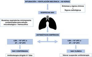 Algorithm for the management of ventilator-associated pneumonia (VAP). BAL, bronchoalveolar lavage; CFU, colony-forming unit; EA, endotracheal aspirate.