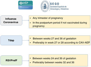 Vaccination during pregnancy. Consensus document of the CAV-AEP and the SEGO. Summary.