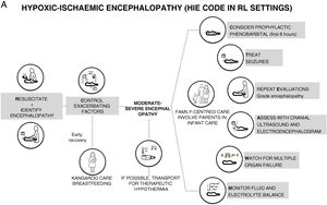 Hypoxic-ischaemic encephalopathy code (A) and algorithm for its application (B) in resource-limited settings.