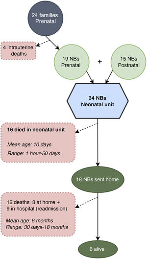 Flow diagram and outcomes of cases managed by the paediatric PC team within the perinatal PC programme. NB, newborn.