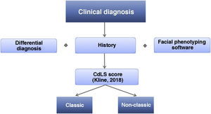 Algorithm for the clinical diagnosis of CdLS.