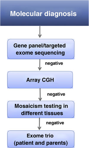 Algorithm for the molecular diagnosis of CdLS.