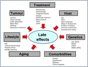 Factors involved in the development of late effects in CCSs. Treatment.Surgery: includes limb amputations and limb sparing surgery, cystectomy, oophorectomy or orchiectomy, lung resection, neurosurgical procedures, etc. Scars and deformities. Radiotherapy: the toxicity depends on the total dose, dose fraction, volume of the irradiated organ or tissue, type of radiotherapy technique (intensity-modulated RT and proton therapy are associated with a reduction in adverse events). The lower the age, the greater the damage.3Chemotherapy: depends on the agent, dose intensity, cumulative dose, schedule. Multimodal treatment: greater risk. Haematopoietic stem cell transplantation (HSCT) and graft-versus-host disease (GvHD): Both are associated with multiple adverse events. Host. Age: < 1 year > 10 years, poorer prognosis, except in neuroblastoma10 (better prognosis with age < 1 year). Sex, race and ethnicity: modify risk in specific tumours.3Duration of follow-up: the longer the follow-up, the greater the risk. Each additional year constitutes an additional risk to develop adverse events.31Hormone environment and pubertal status: affect the susceptibility to chemotherapy and radiotherapy. Low levels of neuron-specific enolase associated with decreased survival.3 Tumour. all described factors have an impact on the risk of adverse events. Genetics. Second tumours: associated gene variants14,26–27: BRCA (mama), P53 (Li Fraumeni). Cardiomyopathy: changes in RARG, genes involved in the transport of drugs and enzymes responsible for cardiotoxic metabolites.21Ototoxicity: changes in genes involved in the pharmacokinetics of cisplatin (ERCC).35Reproductive health: variants of BRSKI, associated with premature menopause. Single-nucleotide polymorphisms (SNPs) in androgen receptors in the testes are associated with oligospermia and azoospermia.14 Premature aging. Childhood cancer survivors exhibit accelerated aging that, in turn, is associated with the development of health problems. A study found higher rates of frailty in CCSs at a median age of 33 years than observed in the general population in the seventh decade of life.16 Comorbidities. Obesity, hypertension, metabolic syndrome, diabetes and chronic diseases increase the risk of late effects. Lifestyle. intervention studies have demonstrated that physical activity is associated with a decreased morbidity in CCSs.31 Substance use (alcohol, tobacco, illicit drugs) is associated with an increased morbidity.44