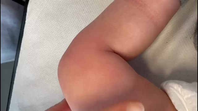 https://ars.els-cdn.com/content/image/1-s2.0-S2341287924000504-mmc1.mp4