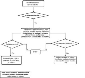 Microbiological diagnosis procedure for suspected catheter-related bloodstream infection.