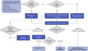 Confirmation of diagnosis of urinary tract infection. CS, catheter sample; LE, leucocyte esterase; SPA, suprapubic aspiration; UA, urinalysis; UTI, urinary tract infection.