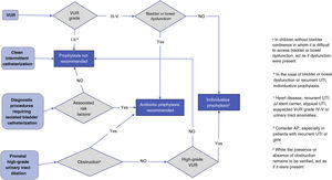 Indications for antibiotic prophylaxis for prevention of recurrent UTI. AP, antibiotic prophylaxis; UTI, urinary tract infection; VUR, vesicoureteral reflux.