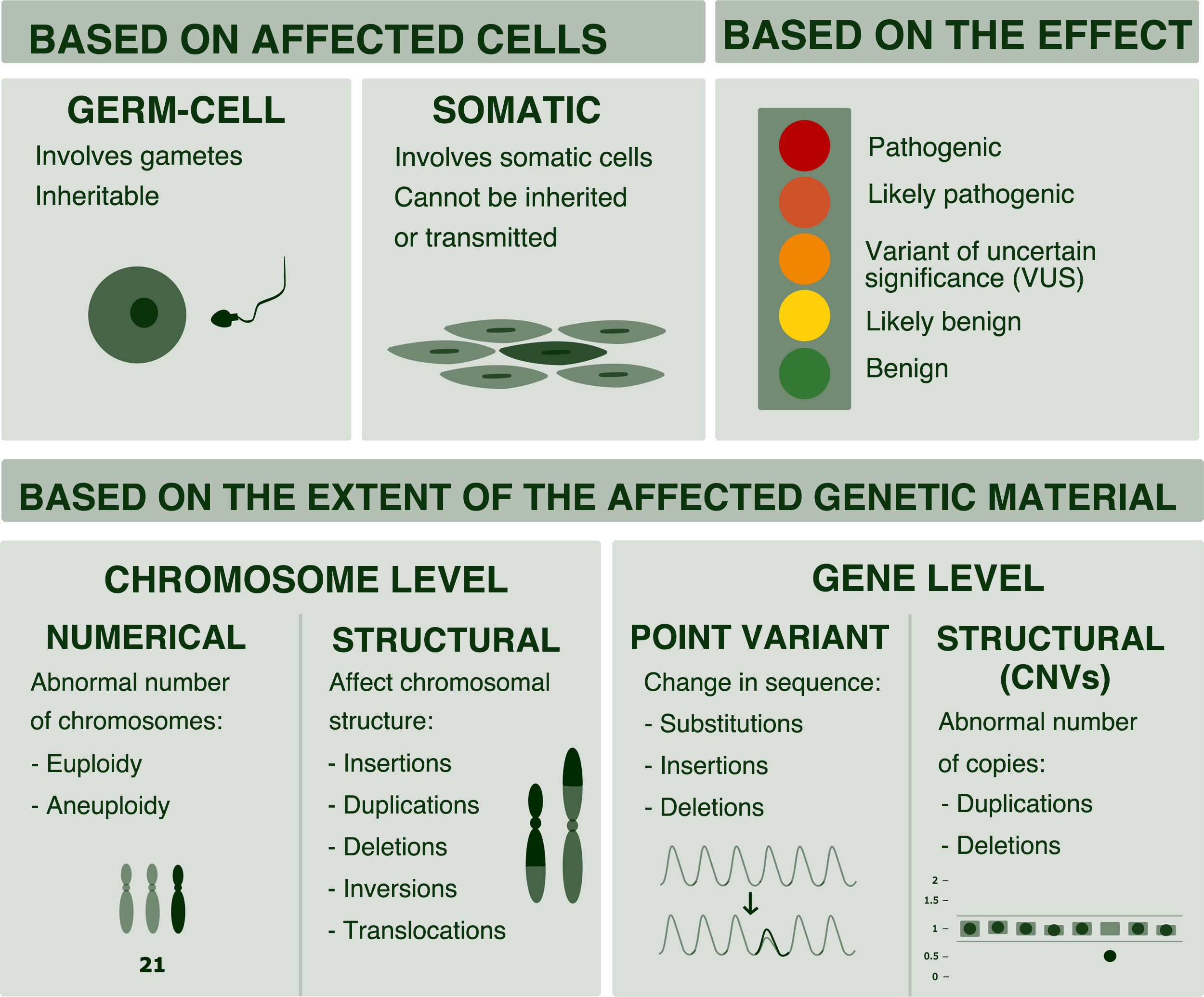 Genetic Variant Example Genetic counselling in the era of next generation sequencing | Anales ...