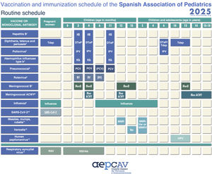 Vaccination and immunization schedule of the Spanish Association of Pediatrics: 2025 recommendations. Routine vaccination. (1) Hepatitis B vaccine (HB). Three doses of hexavalent vaccine at 2, 4 and 11 months. Unvaccinated children and adolescents should be given 3 doses of monovalent vaccine on a 0, 1 and 6-month schedule. (2) Diphtheria, tetanus and acellular pertussis vaccine (DTaP/Tdap). Five doses: primary vaccination with 2 doses (at 2 and 4 months) and booster at 11 months (third dose) with hexavalent vaccine: diphtheria, tetanus, pertussis, hepatitis B, H. influenzae and poliovirus vaccine (DTaP-HB-Hib-IPV); at 6 years (fourth dose) with the standard load vaccine (DTaP-IPV), preferable to the low diphtheria and pertussis antigen load vaccine (Tdap-IPV), and at 10–12 years (fifth dose) with Tdap. In children previously vaccinated with the 3 + 1 schedule (at 2, 4, 6 and 18 months), it is possible to use the Tdap for the booster at age 6 years, as they do not need additional doses of IPV. Administration of Tdap is recommended in each pregnancy between weeks 27 and 36 of gestation, preferably weeks 27−28. In the case of probable preterm labour, it can be administered from week 20, after performance of the high-resolution foetal ultrasound scan. (3) Inactivated poliovirus vaccine (IPV). Four doses: primary vaccination with 2 doses, at 2 and 4 months, and booster doses at 11 months (with hexavalent vaccine) and 6 years (with DTaP-IPV or Tdap-IPV). Children previously vaccinated with the 3 + 1 schedule (at 2, 4, 6 and 18 months) require no additional doses of IPV. Children from countries that use the oral poliovirus vaccine (OPV) who have been vaccinated with 2 or 3 doses of the bivalent OPV vaccine exclusively (from April 2016, when the global switch from the trivalent OPV to the bivalent IPV started on the recommendation of the WHO) should be given at least 2 doses of IPV at least 6 months apart to guarantee protection against poliovirus type 2. (4) Haemophilus influenzae type b conjugate vaccine (Hib). Three doses: primary vaccination at 2 and 4 months and booster dose at 11 months with hexavalent vaccine. (5) Pneumococcal conjugate vaccine (PCV). Three or four doses: 2 + 1 series with PCV15 (at 2, 4 and 11 months) or 3 + 1 series with PCV20 (at 2, 4, 6 and 11 months). (6) Rotavirus vaccine (RV). Two or three doses of RV: at 2 and 3–4 months with the monovalent vaccine or at 2, 3 and 4 months or 2, 3–4 and 5–6 months with the pentavalent vaccine. To minimise the risk of intussusception, which is very low, vaccination must start between 6 and 12 weeks of life and be completed by 24 weeks for the monovalent vaccine and 33 weeks for the pentavalent vaccine. Doses must be given at least 4 weeks apart. Both vaccines may be given at the same time as any other vaccine (with the exception of the oral poliovirus vaccine, which is not currently distributed in Spain). (7) Meningococcal B vaccine (MenB). 4CMenB. Three doses: start at age 2 months, with a series of 2 doses 2 months apart and a booster starting from age 12 months and at least 6 months after the last dose in the primary series; administration of the 4CMenB at the same time as all other vaccines in the schedule is recommended. In adolescence, routine vaccination at age 12 years with either of the two vaccines in unvaccinated individuals and, in those who have completed childhood vaccination, a booster dose with 4CMenB (use of a different vaccine is not allowed, as meningococcal B vaccines are not interchangeable). For all other age groups, the indication of vaccination with either vaccine (4CMenB or MenB-fHbp) is determined on a case-by-case basis, always adhering to the minimum age authorised for each vaccine. (8) Meningococcal ACWY conjugate vaccine (MenACWY). One dose of conjugate MenACWY conjugated with tetanus toxoid (MenACWY-TT) at age 4 months if the vaccine is included in the publicly funded immunization schedule of the autonomous community, and otherwise, the schedule found in the summary of product characteristics of the MenACWY-TT (Pfizer); booster dose at 12 months with MenACWY-TT (Pfizer) or MenACWY-TT (Sanofi). In adolescence (11–13 years), administration of 1 dose of MenACWY is recommended, in addition to catch-up vaccination through age 18 years. In autonomous communities where the MenACWY vaccine is not included in the routine immunization schedule at 4 and 12 months, if parents choose not to administer it, the MenC-TT vaccine funded by the regional government must be administered instead. For all other age groups, the decision to vaccinate must be made on a case-by-case basis. (9) Influenza vaccine. Recommended in all children aged 6–59 months with administration of an inactivated vaccine via the intramuscular route (some can be administered via deep subcutaneous injection) or, from age 2 years, preferably with the intranasal live attenuated vaccine. Children and adolescents aged 5–18 years can also be vaccinated on a case-by-case basis. A single dose should be given from age 6 months, except in children aged less than 9 years in risk groups, who should be given 2 doses 4 weeks apart if it is the first time they are vaccinated against influenza. The dose is 0.5 mL delivered intramuscularly in the case of the inactivated vaccine and 0.1 mL in each nostril in the case of the attenuated vaccine. Vaccination against influenza is recommended in pregnant women in any trimester or in the postpartum period within 6 months of birth if not vaccinated during pregnancy. (10) SARS-CoV-2 vaccine. One dose during pregnancy in any trimester. If pregnant women have been vaccinated before or had the infection, the vaccine should be given at least 3 months after the last exposure event. Vaccination in the postpartum period within 6 months of delivery is also indicated if not performed during the pregnancy. The vaccine can be given at the same time as the influenza or Tdap vaccines. (11) Measles, mumps and rubella vaccine (MMR). Two doses of MMR vaccine. The first at age 12 months and the second at age 2 years. The quadrivalent MMRV vaccine may be administered for the second dose. In susceptible patients outside the specified ages, vaccination with 2 doses of MMR at least 1 month apart is recommended. (12) Varicella vaccine (Var). Two doses: the first one at 15 months (although it is possible to administer from age 12 months) and the second at age 2 years. The quadrivalent vaccine (MMRV) may be used for the second dose. In susceptible patients outside the specified ages, vaccination with 2 doses of monovalent Var vaccine is recommended, at least 1 month apart, with a recommended 12-week interval between doses in children aged less than 13 years. (13) Human papillomavirus vaccine (HPV). Routine vaccination against HPV of all children, male or female, at age 10–12 years with a single dose. The higher valency vaccine (HPV9) is recommended. From 2025, the Ministry of Health recommends a single dose given up to age 25 years (it is only publicly found until age 18 years). It can be administered at the same time as the MenACWY, hepatitis A and B and Tdap vaccines. There are no data for administration with the varicella vaccine, although it should not cause any problems. (14) Respiratory syncytial virus (RSV). Pregnant women should receive the RSVPreF vaccine between 24 and 36 weeks of gestation, preferably between weeks 32 and 36. The public health system will not fund it in the 2024–2025 season, although it will be available at community pharmacies. Administration of 1 dose of nirsevimab (an anti-RSV antibody) is recommended in all neonates born during the RSV season (October-March) and infants aged less than 6 months (born between April and September) at the beginning of the season.