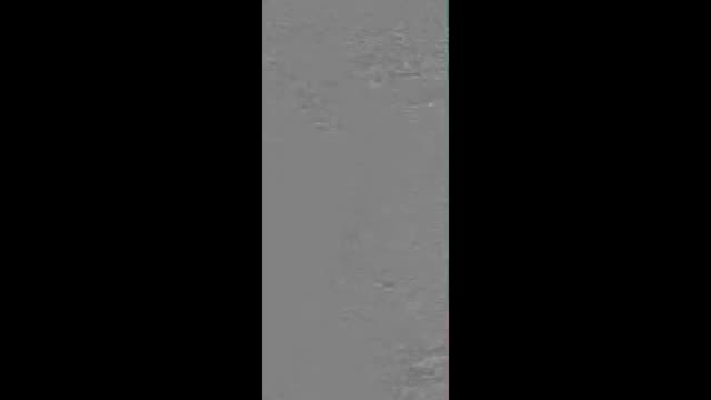 https://ars.els-cdn.com/content/image/1-s2.0-S2341287925001553-mmc1.mp4