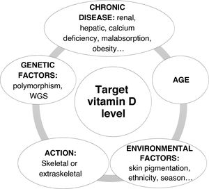 Factors to consider when requesting and interpreting serum calcidiol levels and defining the nutritional vitamin D target.