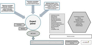 General flow diagram of a consensus exercise.