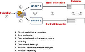 Basic elements and methodology of a randomized controlled trial. Seven steps.