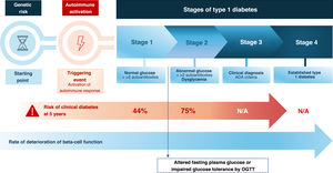 Natural history of type 1 diabetes.