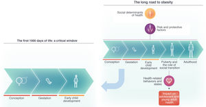 The long road to obesity. The first 1000 days: a critical window.