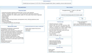 Diagnostic algorithm for cholestasis.