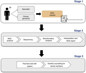 Flow chart of the NGS workflow. The stages involved in performing an NGS test are outlined below: first, the patient visits the facility and the requesting physician (specialist or clinical geneticist) orders an NGS test after obtaining signed informed consent (stage 1). The test is then carried out sequentially (stage 2) so that, finally, the results in the NGS report can be communicated to the patient in the office and, if indicated, genetic counseling can be offered to other family members (phase 3).
