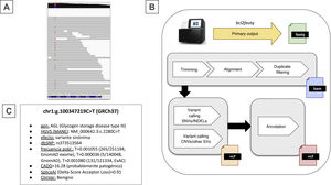 Summary of the bioinformatics analysis process. (A) Example of a heterozygous SNV in the AGL gene. Aligned reads are shown in grey and the nucleotide sequence of the featured exon fragment can be seen at the bottom. (B) Sequential steps performed in the bioinformatics analysis process that must be implemented through a pipeline. (C) Information for the variant shown in (A) with the corresponding annotations provided to support the interpretation of the variant.