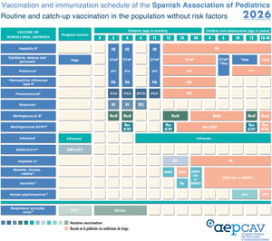 Vaccination and immunization schedule of the Spanish Association of Pediatrics: 2026 Recommendations. Routine Vaccination. (1) Hepatitis B vaccine (HB). Three doses of hexavalent vaccine at 2, 4 and 11 months. Unvaccinated children and adolescents should be given 3 doses of monovalent vaccine on a 0, 1 and 6-month schedule. (2) Diphtheria, tetanus and acellular pertussis vaccine (DTaP/Tdap). Five doses: primary vaccination with 2 doses (at 2 and 4 months) and booster at 11 months (third dose) with DTaP‑IPV‑Hib‑HB (hexavalent vaccine); at 6 years (fourth dose) with the standard load vaccine (DTaP‑IPV), preferable to the low diphtheria and pertussis antigen load vaccine (Tdap‑IPV), and at 10–12 years (fifth dose) with Tdap. In children previously vaccinated with the 3 + 1 schedule (at 2, 4, 6 and 18 months), it is possible to use the Tdap for the dose at age 6 years, as they do not need additional doses of IPV. Administration of Tdap is recommended in each pregnancy between weeks 27 and 36 of gestation, preferably weeks 27–28. In the case of probable preterm birth, it can be administered from week 20, after performance of the high‑resolution fetal ultrasound scan. (3) Inactivated poliovirus vaccine (IPV). Four doses: primary vaccination with 2 doses, at 2 and 4 months, and booster doses at 11 months (with hexavalent vaccine) and 6 years (with DTaP-IPV or Tdap-IPV). Children previously vaccinated with the 3 + 1 schedule (at 2, 4, 6 and 18 months) require no additional doses of IPV. The vaccination schedule for children from countries that use the oral poliovirus vaccine (OPV) or who have received a combination of OPV and IPV doses can be found in our online immunization manual. (4) Haemophilus influenzae type b conjugate vaccine (Hib). Three doses: primary vaccination at 2 and 4 months and booster dose at 11 months with hexavalent vaccine. (5) Pneumococcal conjugate vaccine (PCV). Three or four doses: 2 + 1 series with PCV15 (at 2, 4 and 11 months) or 3 + 1 series with PCV20 (at 2, 4, 6 and 11 months). (6) Rotavirus vaccine (RV). Two or three doses of RV: at 2 and 3–4 months with the monovalent vaccine, or at 2, 3, and 4 months or 2, 3–4, and 5–6 months with the pentavalent vaccine. To minimize the risk of intussusception, which is very low, vaccination must start between 6 and 12 weeks of life and be completed by 24 weeks for the monovalent vaccine and 33 weeks for the pentavalent vaccine. Doses must be given at least 4 weeks apart. Both vaccines may be given at the same time as any other vaccine (with the exception of the oral poliovirus vaccine, which is not currently distributed in Spain). (7) Meningococcal B vaccine (MenB). 4CMenB. Three doses: start at age 2 months, with a series of 2 doses 2 months apart and a booster starting from age 12 months and at least 6 months after the last dose in the primary series; administration of the 4CMenB at the same time as all other vaccines in the schedule is recommended. In adolescence, routine vaccination at age 12 years with either of the two vaccines in unvaccinated individuals and, in those who have completed childhood vaccination, a booster dose with 4CMenB (use of a different vaccine is not allowed, as meningococcal B vaccines are not interchangeable). For unvaccinated individuals in all other age groups, catch-up vaccination with either vaccine (4CMenB or MenB-fHbp), always adhering to the minimum age authorised for it. (8) Meningococcal ACWY conjugate vaccine (MenACWY). One dose of conjugate MenACWY conjugated with tetanus toxoid (MenACWY-TT) at age 4 months if the vaccine is included in the publicly funded immunization schedule of the autonomous community or, otherwise, the schedule found in the summary of product characteristics of the MenACWY-TT (Pfizer); booster dose at 12 months with MenACWY-TT (Pfizer or Sanofi). In adolescence (11–13 years), administration of 1 dose of MenACWY is recommended, in addition to catch-up vaccination through age 18 years. In autonomous communities where the MenACWY vaccine is not included in the routine immunization schedule at 4 and 12 months, if parents choose not to administer it, the MenC-TT vaccine funded by the regional government must be administered instead. For unvaccinated individuals in other age groups, catch-up vaccination with any of the three vaccines, adhering to the minimum age authorised for each of them. (9) Vaccination against influenza. Recommended in all children and adolescents aged 6 months to 17 years with administration of an inactivated vaccine via the intramuscular route (some can be administered via deep subcutaneous injection) or, from age 2 years, preferably, with the intranasal live attenuated vaccine, as long as it is not contraindicated. A single dose should be given from age 6 months, except in children aged less than 9 years in risk groups, who should be given 2 doses 4 weeks apart if it is the first time they are vaccinated against influenza. The dose is 0.5 mL delivered intramuscularly in the case of the inactivated vaccine and 0.1 mL in each nostril in the case of the attenuated vaccine. Vaccination against influenza is recommended in pregnant women in any trimester or in the postpartum period within 6 months of birth if not vaccinated during pregnancy. (10) SARS-CoV-2 vaccine. One dose during pregnancy in any trimester. In pregnant women who were vaccinated or had the infection before, the vaccine should be given at least 3 months after the last exposure event. Vaccination in the postpartum period within 6 months of delivery is also indicated if not performed during the pregnancy. The vaccine can be given at the same time as the influenza or Tdap vaccines. (11) Hepatitis A vaccine. One dose between ages 12 and 15 months. In previously unvaccinated healthy children and adolescents, catch-up vaccination with one dose. (12) Measles, mumps and rubella vaccine (MMR). Two doses of MMR vaccine. The first at age 12 months and the second at age 24 months. The quadrivalent MMRV vaccine may be administered for the second dose. In susceptible individuals outside the specified ages, vaccination with 2 doses of MMR at least 1 month apart is recommended. In children aged more than 2 years also susceptible to varicella, 2 doses of MMRV at least one month apart and preferably 3 months apart (on account of the varicella component). (13) Varicella vaccine (Var). Two doses: the first one at 15 months (although it can be administered from age 12 months) and the second at age 24 months. The quadrivalent vaccine (MMRV) may be used for the second dose. In susceptible individuals outside the specified ages, vaccination with 2 doses of monovalent Var vaccine is recommended, at least 1 month apart, with a recommended 12-week interval between doses in children aged less than 13 years. In children aged more than 2 years who are also susceptible to measles, mumps and/or rubella, 2 doses of MMRV at least one month apart and preferably 3 months apart (on account of the varicella component). (14) Human papillomavirus vaccine (HPV). Routine vaccination against HPV of all children, male or female, at age 10–12 years with a single dose. The higher valency vaccine (HPV9) is recommended. Publicly funded catch-up vaccination (with one dose) up to age 18 years in individuals of any sex. It can be administered at the same time as the MenACWY, hepatitis A and B and Tdap vaccines. There are no data for administration with the varicella vaccine, although it should not cause any problems. (15) Immunization against respiratory syncytial virus (RSV). Administration of the RSVPreF vaccine to pregnant women between 24 and 36 weeks of gestation, preferably between weeks 32 and 36. The public health system will not fund it in the 2025–2026 season, although it will be available at community pharmacies. Administration of 1 dose of nirsevimab (an anti-RSV antibody) is recommended in all neonates born during the RSV season (October-March) and infants aged less than 6 months (born between April and September) at the beginning of the season.