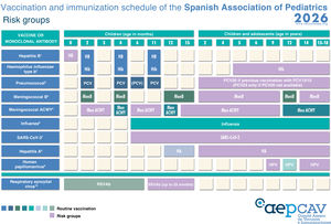 Vaccination and immunization schedule of the Spanish Association of Pediatrics: 2026 Recommendations. Risk Groups. (1) Hepatitis B vaccine (HB). Children of mothers positive for hepatitis B antigen (HBsAg+) will be given 1 dose of vaccine and 1 dose of hepatitis B immune globulin (HBIG) (0.5 mL) within 12 h of birth. In the case of unknown maternal serologic status, children will receive the vaccine within 12 h of birth and serological testing will be performed in the mother, followed by 0.5 mL of HBIG, preferably within 72 h of birth, if maternal HBsAg + status is confirmed. Infants vaccinated at birth will adhere to the routine schedule for the first year of life, and thus will receive 4 doses of HB vaccine. There are additional risk groups. (2) Haemophilus influenzae type b vaccine (Hib). One dose in previously unvaccinated children aged more than 59 months in risk groups: anatomic or functional asplenia, complement deficiency, treatment with eculizumab, ravulizumab or sutimlimab, infection by HIV or history of invasive disease by H influenzae. In unvaccinated or partially vaccinated children younger than 59 months, vaccinate according to the accelerated or catch-up vaccination schedule of the CAV-AEP. (3) Vaccination against pneumococcal disease (PCV). If the 20-valent pneumococcal polysaccharide vaccine (PCV20) is available, it should be administered preferentially instead of the 23-valent vaccine (PCV23) in children previously vaccinated with PCV13 or PCV15. In children fully vaccinated with PCV20 (primary series and booster) or who have received a dose of PCV20 to complete vaccination initiated with PCV13 or PCV15, it is not necessary to administer the PCV23 or additional doses of PCV20. The PCV23 vaccine is only indicated in children aged more than 2 years with diseases that increase the risk of pneumococcal infection and fully vaccinated with conjugated vaccine (PCV13 or PCV15), but only if the PCV20 vaccine is not available. The minimum interval required to administer the PCV20 or PCV23 after the last dose of PCV in children previously vaccinated with PCV13 or PCV15 is 8 weeks. (4) Meningococcal B vaccine (MenB). 4CMenB. Recommended in risk groups at any age from 1 year (infants under 1 year will be vaccinated according to the routine schedule): anatomic or functional asplenia, complement deficiency, treatment with eculizumab, ravulizumab, or sutimlimab, hematopoietic stem cell transplant recipients, infection by HIV, prior episode of invasive meningococcal disease (IMD) caused by any serogroup and contacts of an index case of IMD caused by serogroup B in the context of an outbreak. Subsequently, with the exception of children aged less than 2 years or with a history of IMD, 1 dose of MenB should be given one year after completion of the primary series and every 5 years thereafter. In the context of an outbreak of IMD caused by group B, patients in risk groups should be given a booster dose if at least 1 year has elapsed from completion of the primary vaccination series. From age 10 years, it is possible to use either of the two vaccines, always taking into account that they are not interchangeable. (5) Meningococcal ACWY conjugate vaccine (MenACWY). Children with risk factors for invasive meningococcal disease (IMD): anatomic or functional asplenia, complement deficiency, treatment with eculizumab, ravulizumab, or sutimlimab, hematopoietic stem cell transplant recipients, infection by HIV, prior episode of IMD caused by any serogroup and contacts of an index case of IMD caused by serogroup A, C, W or Y in the context of an outbreak. Primary vaccination at any age with 2 doses at least 2 months apart. If the risk persists, administration of a booster dose is recommended every 3 years in children aged less than 7 years and every 5 years in older children. Travellers to Mecca for pilgrimage or the African meningitis belt in the dry season must also be vaccinated with MenACWY. (6) Influenza vaccine. Recommended for all risk groups and household contacts from age 6 months. The risk groups relevant to this vaccine can be found in the document outlining the recommendations of the CAV-AEP for the 2025–2026 season. (7) SARS-CoV-2 vaccine. According to the recommendations of the Public Health Commission of Spain concerning vaccination against COVID-19 for the 2025–2026 season, vaccination is indicated from age 6 months in individuals with diseases considered a high or very high risk, receiving immunosuppressive treatment or who are household contacts of at-risk individuals as well as individuals aged 5 years or older living in residential facilities or institutionalised for prolonged periods. Monovalent vaccines against the LP.8.1 variant should be used or, if not available, with the KP.2 subvariant: 1 (preparations containing 3 µg [age 6 months–4 years], 10 µg [age 5−11 years] or 30 µg [age ≥ 12 years]) or Spikevax ((available as 0.1 mg/mL multidose vial to deliver 10 doses of 2.5 mL/25 µg [age 6 months–11 years] or 5 doses of 0.5 mL/50 µg [age ≥ 11 years]). Primary vaccination in individuals aged more than 6 months who have had the infection: single dose, at least 3 months after the infection, except in severely immunosuppressed patients who should receive a second dose at least 3 months after the first one. Primary vaccination in individuals with no history of infection: for those aged 5 years or older, a single dose; for children aged 6 months to 4 years, 3 doses (first and second dose at least 3 weeks apart and second and third dose at least 8 weeks apart) of Comirnaty 3 μg, or 2 doses of Spikevax (0.25 mL/25 µg) at 0 and 28 days. In children aged 6 months to 4 years who are partially vaccinated, complete the series with one of the new monovalent vaccines. Seasonal dose (autumn-winter 2025–2026) in risk groups: single dose, independently of the number of doses received in the past or the past history of infection, at least 3 months after the last dose of vaccine or episode of infection. The risk groups can be consulted in the recommendations published by the Ministry of Health or the online Immunizations Manual of the CAV-AEP. (8) Hepatitis A (HA). They must receive 2 doses of the vaccine separated by 6 months. The pre-exposure and post-exposure risk groups are detailed in our Manual. Infants aged 6–11 months traveling to risk areas can be given the vaccine, but it will not count as a valid dose toward the routine vaccination series, which will have to start over from age 12 months. (9) Human papillomavirus (HPV). Vaccination is indicated from age 9 years, always with 3 doses, in immunosuppressed individuals. Consult the Immunizations Manual for other risk groups. (10) Immunization against respiratory syncytial virus (RSV). Administration of nirsevimab (anti-RSV antibody) is recommended annually (for 2 seasons) in children aged less than 2 years with underlying diseases that increase the risk of severe RSV infection, preferably just before the usual start of the RSV season (October). In the second season, provided they weigh 10 or more kg, the dose will be 200 mg, administered in two 100 mg injections; if they weigh less than 10 kg, 100 mg will be given. Preterm infants born before 35 weeks (including those with gestational age < 29 weeks) will receive one dose of antibody before age 12 months (if they received a dose in the previous season, they may receive an additional dose of 100 mg [200 mg if they weigh 10 kg or more] at the start of the 2025–2026 season if they have not yet reached age 12 months).