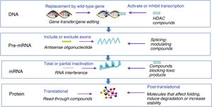 Levels of intervention in advanced therapies targeting specific genes and their products. It is possible to act on DNA, either replacing the gene in the double-stranded genome, editing the variant (star) or activating or inhibiting its transcription through molecules that modify histones and gene expression. It is also possible to act on pre-mRNA, a single-stranded copy of the DNA sequence containing exons (blue) and introns (grey). Splicing of pre-mRNA can be modified to include or exclude exons through antisense oligonucleotides or splicing modulation compounds. The mRNA only contains the exons and can be inactivated partially or totally either with interfering RNA molecules or toxicity-blocking compounds. Proteins can be modified either at the translational level, with read-through compounds that preclude reading of stop codons in nonsense mutations, inserting an amino acid at that position to generate a longer protein, or with post-translational modification compounds (explained in greater detail in the text). Abbreviations: HDAC, histone deacetylase; RNA, messenger RNA.