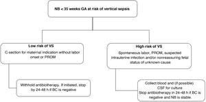 Algorithm for the management of neonates born before 35 weeks of gestation at risk of vertical sepsis. Abbreviations: BC, blood culture; CSF, cerebrospinal fluid; GA, gestational age; h, hours; NB, newborn; PROM, premature rupture of membranes; VS, vertical sepsis.