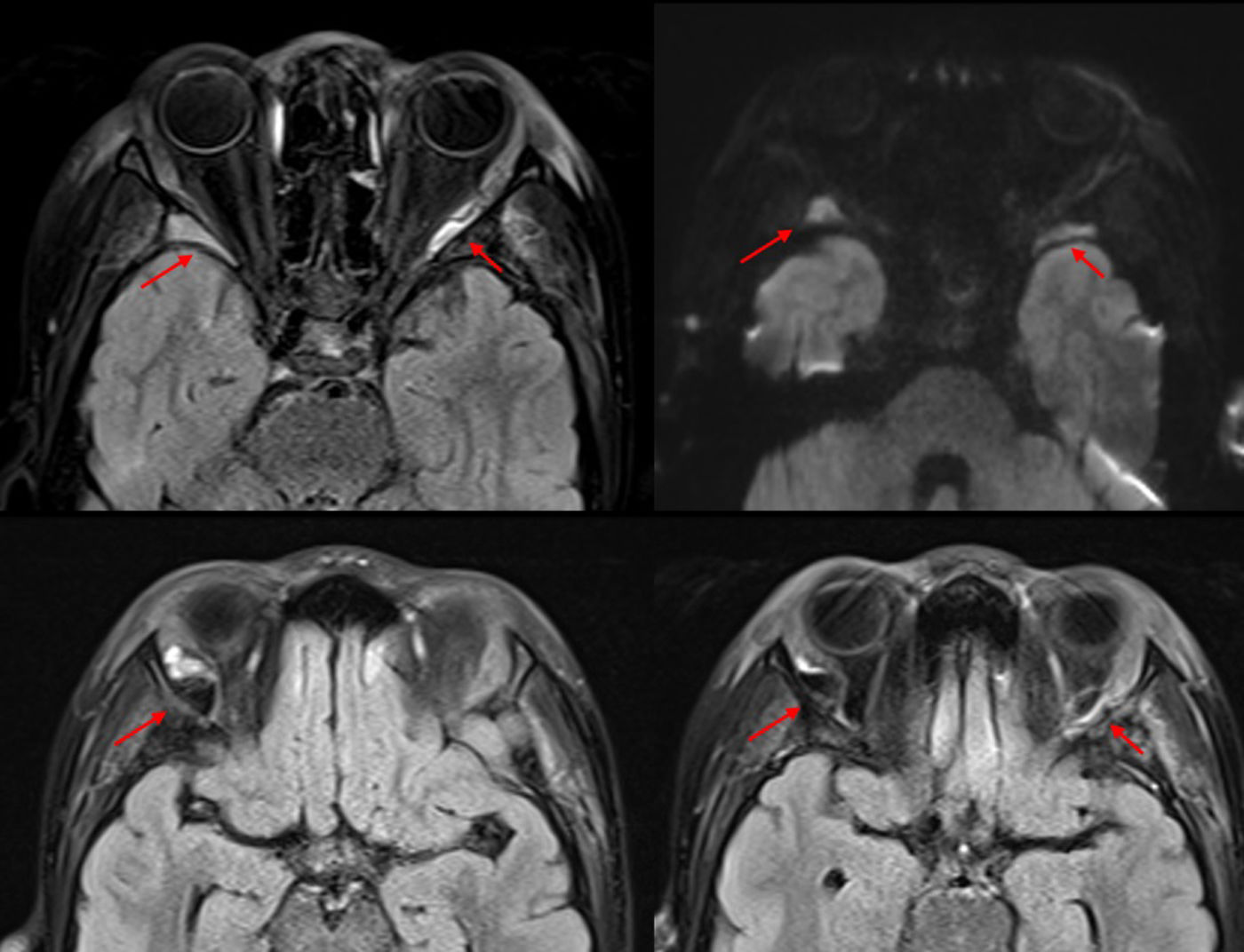 fig0015