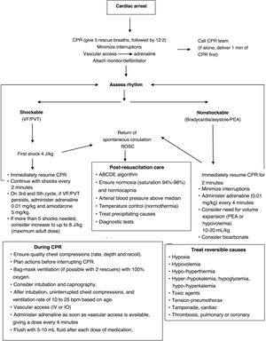 Pediatric advanced CPR algorithm.