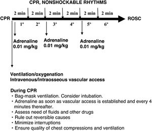 Pediatric advanced CPR algorithm, nonshockable rhythms.
