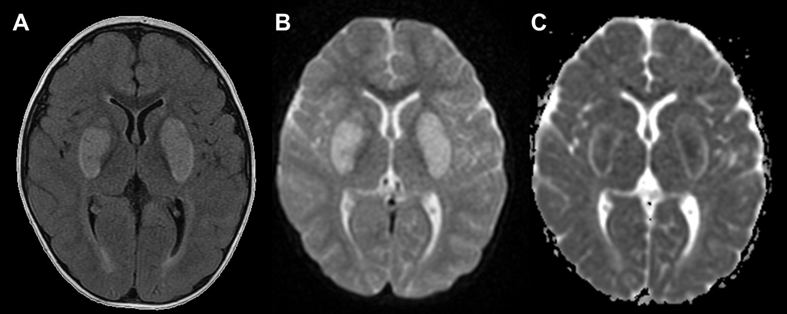 fig0010