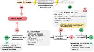 Management of epileptic seizures in the hospital setting.