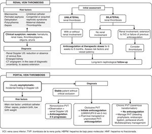 Renal vein and portal vein thrombosis in neonates.