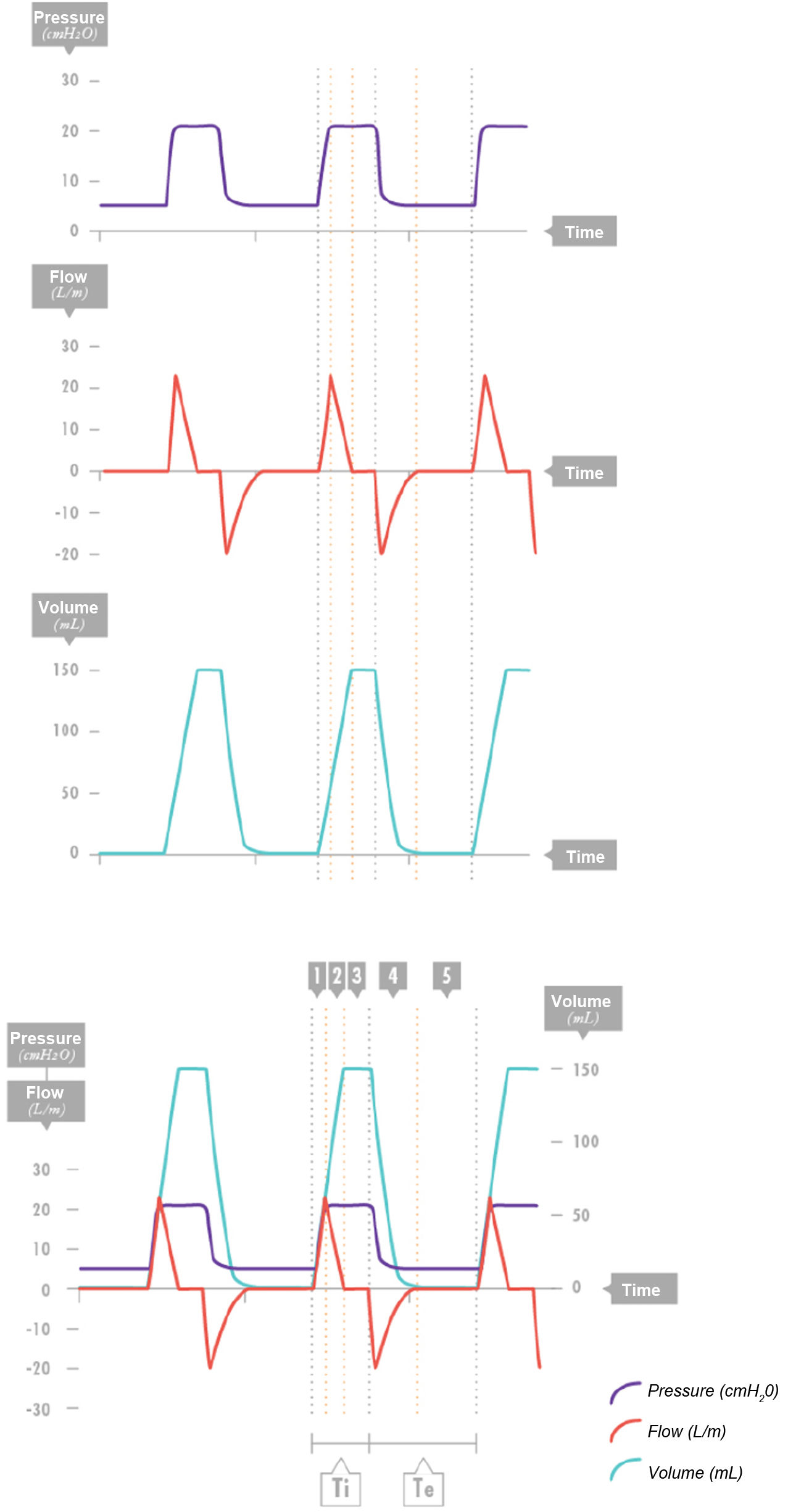 fig0010