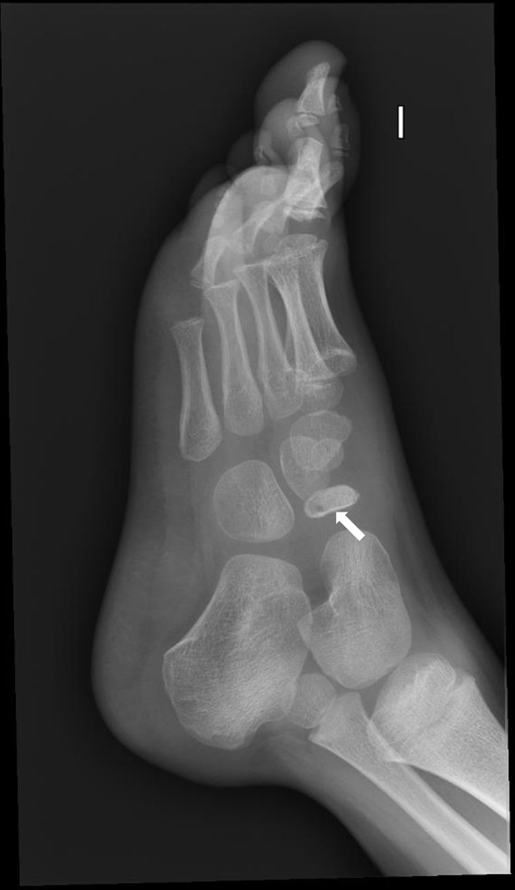 fig0010