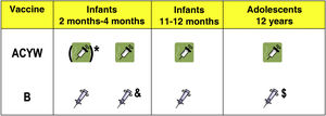 The most comprehensive schedule for child vaccination against meningococcal disease based on the vaccines currently available. The implementation of this schedule is subject to the indications detailed in the summary of product characteristics of each vaccine based on the age of administration and current epidemiological trends. Consult the corresponding text for a detailed explanation. * According to current summaries of product characteristics, vaccination of infants aged less than 6 months requires at least a 2-dose primary series. Replacing the current dose of monovalent MenC vaccine at 4 months by a dose of MenACWY would suffice to achieve protection against group C. A clinical trial is currently underway to evaluate a 1 + 1 series of quadrivalent meningococcal tetanus toxoid conjugate vaccine (ACWY-TT) at ages 4 and 12 months. The progressive elimination of the infant MenACWY doses could be considered once the herd immunity threshold is achieved through a high and sustained MenACWY vaccine coverage in adolescents, as was done with the administration of MenC vaccine in infants in the past. & The second dose of MenB could be administered as early as age 3 months in vaccination schedules with a 3-dose primary series. In 2-dose schedules, the doses must be given at least 8 weeks apart, according to the summary of product characteristics. $ This dose could be given at 12 or 14 years at the same time as other vaccines. There is still no data supporting the need for a booster dose against serogroup B in children who received the full primary vaccination series, nor that a single dose at this time would be sufficient to maintain protection or to obtain the potential benefits of cross-protection described in the literature for this age group.
