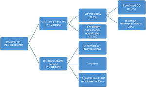 Summary of patients with possible CD.