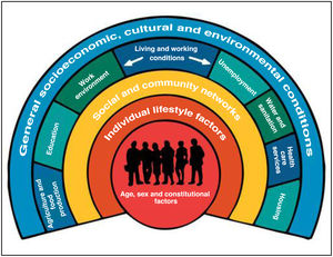 Model of the determinants of health of the Pan American Health Organization.