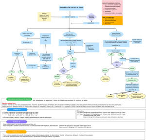 Algorithm for the management of AGE in the context of travel (international travel, adoption, migration, etc). ABX, antibiotherapy; BT, blood test; ETEC, enterotoxigenic Escherichia coli; IBS, irritable bowel syndrome; PE, physical examination; RF, risk factor; Tx: treatment; wk, weeks; h, hours. Algorithm adapted from: Badillo Navarro et al.22 and Imbert.38 Algorithm for the management of AGE in the context of travel (international travel, adoption, migration, etc). ABX, antibiotherapy; BT, blood test; ETEC, enterotoxigenic Escherichia coli; IBS, irritable bowel syndrome; PE, physical examination; RF, risk factor; Tx: treatment; wk, weeks; h, hours. Algorithm adapted from: Badillo Navarro et al.22 and Imbert.38