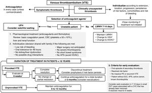 General management of pediatric venous thromboembolism (VTE) and recommendations regarding treatment duration. Abbreviations: APS, antiphospholipid syndrome; CVC, central venous catheter; DOAC, direct-acting oral anticoagulant; LMWH, low-molecular-weight heparin; PE, pulmonary thromboembolism; SLE, systemic lupus erythematosus; UFH, unfractionated heparin; VKA, vitamin K antagonist.