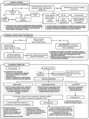 Management of central venous catheter-associated thrombosis, cerebral venous sinus thrombosis, and pulmonary embolism. Abbreviations: BNP, B-type natriuretic peptide; CVC, central venous catheter; DVT, deep vein thrombosis; ECMO, extracorporeal membrane oxygenation; PE, pulmonary embolism; RV, right ventricle; UFH, unfractionated heparin.