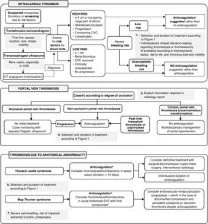 Management of intracardiac thrombosis, portal thrombosis and thrombosis secondary to anatomical abnormalities. Abbreviations: CHD, congenital heart disease; CVC, central venous catheter; DVT, deep vein thrombosis.