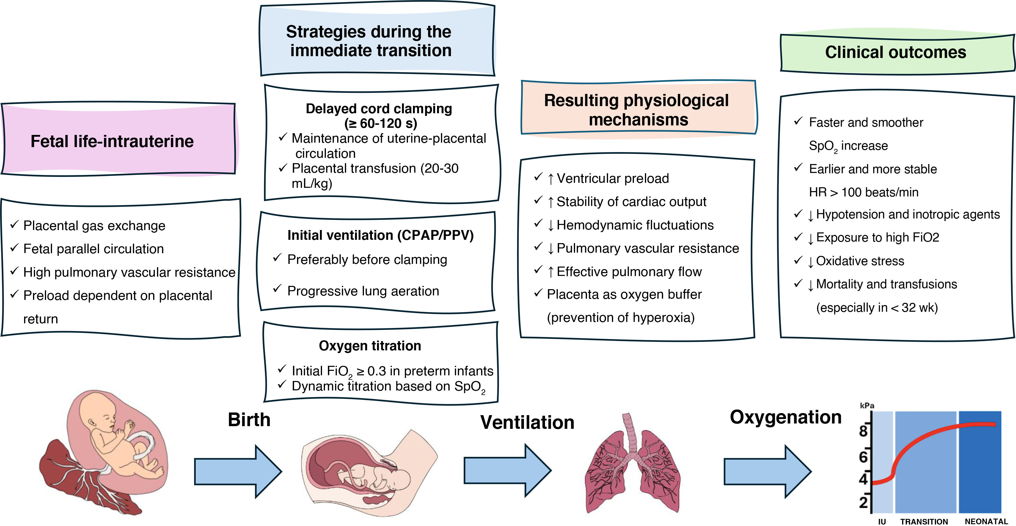 ILCOR Recommends Higher Initial FiO2 for Preterm Infant Resuscitation