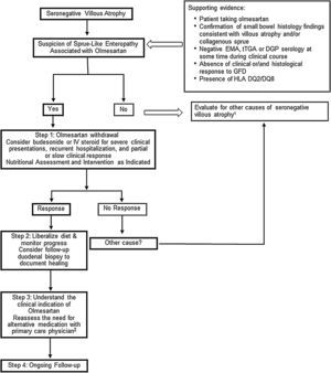 Proposed Management for Patients with Sprue-like Enteropathy associated with Olmesartan. 1. Differential diagnosis includes (but it is not limited to) seronegative celiac disease, other drug-related enteropathies, autoimmune enteropathy, tropical sprue, small-bowel bacterial overgrowth, hypogammaglobulinemic sprue, Giardiasis, refractory celiac disease, Whipple's disease, collagenous sprue, and unclassified sprue. 2. If there is a need for continuation of alternative therapy, we recommend to use a different class of medication whenever is clinically possible.