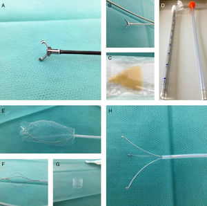 Endoscopic retrieval devices and ancillary material – rat-tooth (A) and alligator (B) retrieval forceps, retractable latex-rubber condom-typed hood (C), overtube (D), net (Roth net@, E), basket (F), caps (G) and retrieval grasper triprong (H).