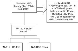 Flow-chart of studied cohort population with chronic hepatitis B virus infection treated with nucleos(t)ide analog therapy including the number of patients who developed HCC during the follow-up.