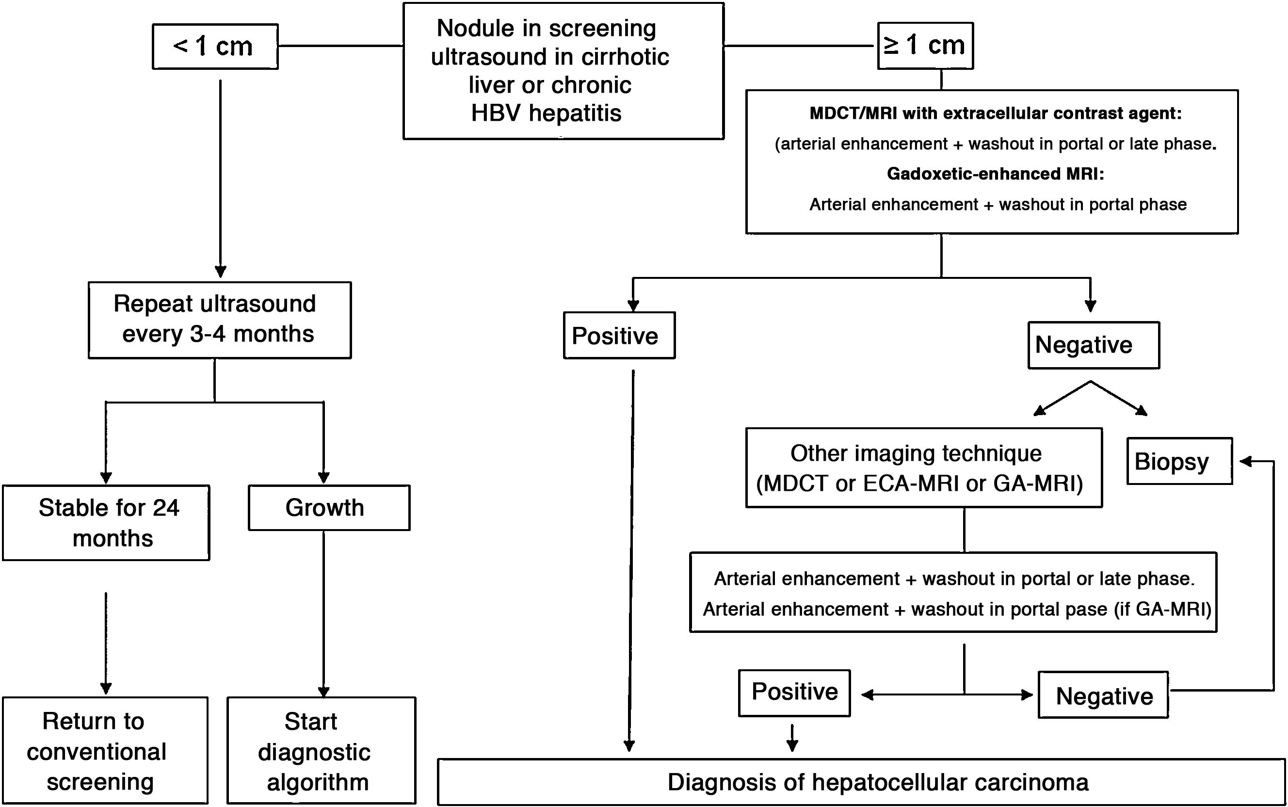 Diagnosis and treatment of hepatocellular carcinoma. Update of the ...