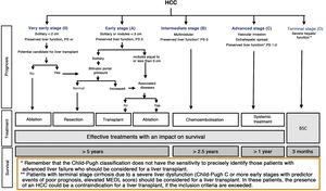 BCLC staging system (Barcelona-Clinic-Liver-Cancer). Performance status; BSC: Best supportive care. Adapted from Forner et al.194
