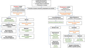 Diagnostic algorithm for rickets. FGF-23: fibroblast growth factor 23; PTH: parathyroid hormone; RHAD: autosomal dominant hypophosphatemic rickets; ADHR: autosomal dominant hypophosphatemic rickets; GFR: glomerular filtration rate; TmP: maximal tubular phosphate reabsorption; XLH: X chromosome-linked hypophosphatemic rickets. Source: Translated and adapted with permission of Springer Nature Customer Service Centre GmbH: Goodbye, Advances in Therapy. González-Lamuño D45. ©Springer Healthcare Ltd., part of Springer Nature 2020.